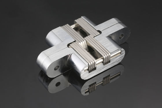 La porte cachée résistante plaquée articule l'anticorrosif universel